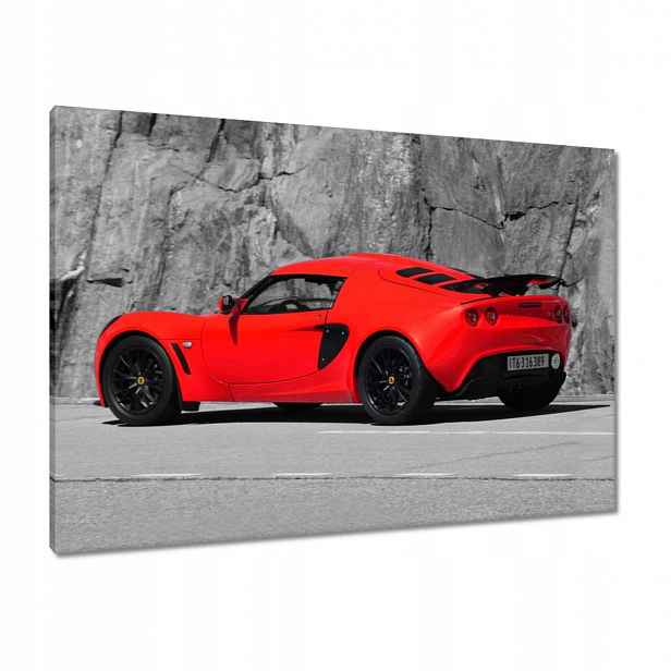 Obrazy 100x70 Červený Lotus