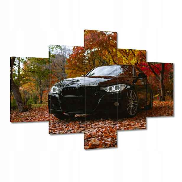 Obrazy 100x70 Černé Bmw Podzim
