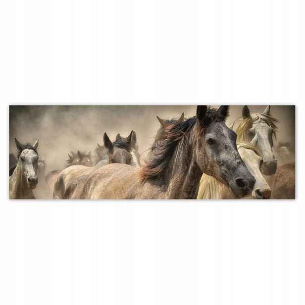 Plakáty 200x66 Divocí koně Koníci Galop