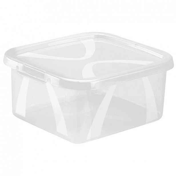 Rotho Box S Víkem, 2 L - 003294001801