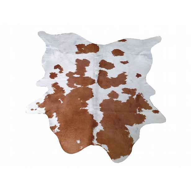 Hovězí kůže červenobílá – polská – kráva – od 3,25 do 4 m2 (200 x 180 cm)