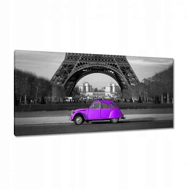 Obrazy 115x55 Fialová Citroen Věž