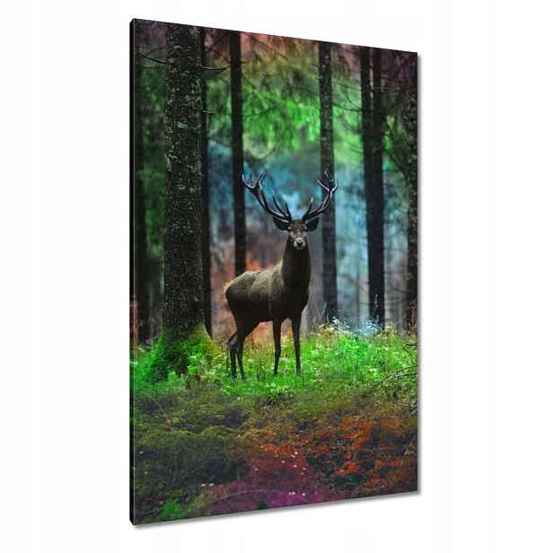 Obrazy 80x120 Jelen v báječném lese