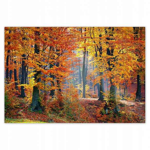 Fototapety 152x104 Zlatý podzim