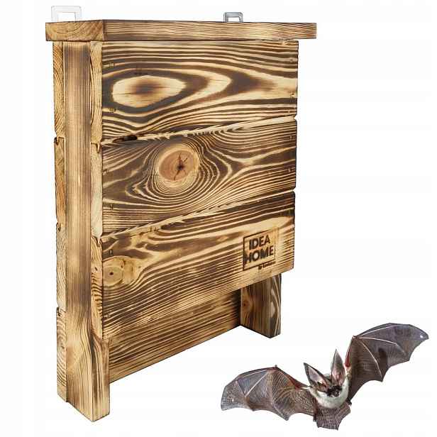 Budka Pro Netopýry Ih Chiroptera