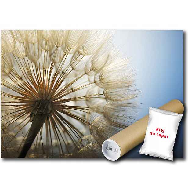 Vinylová Fototapeta Pampeliška Makro Rostlina Flóra Příroda 152x104