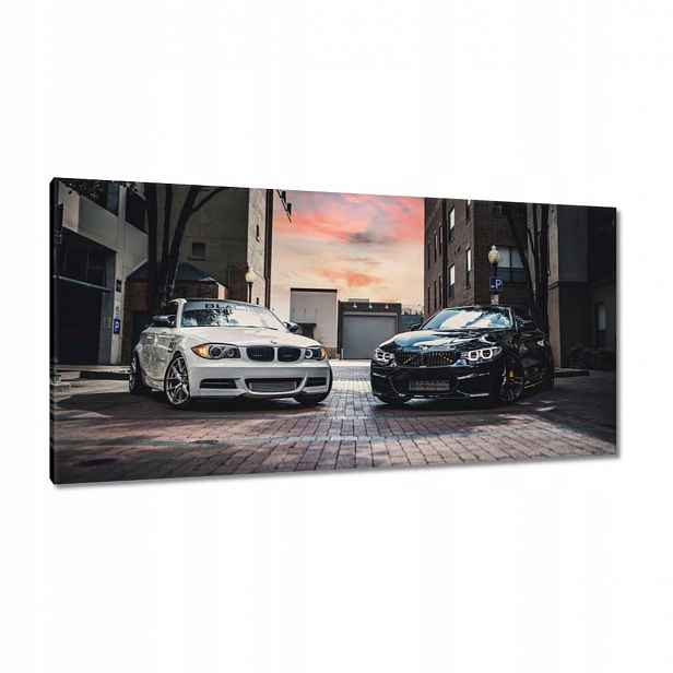 Obrazy 115x55 Černá a bílá Sestry 2
