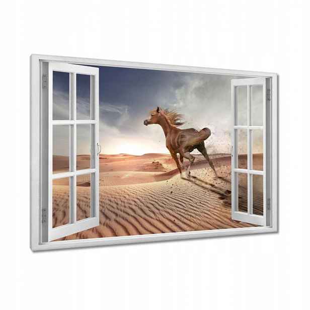 Obrazy 90x60 Kůň Jezdectví