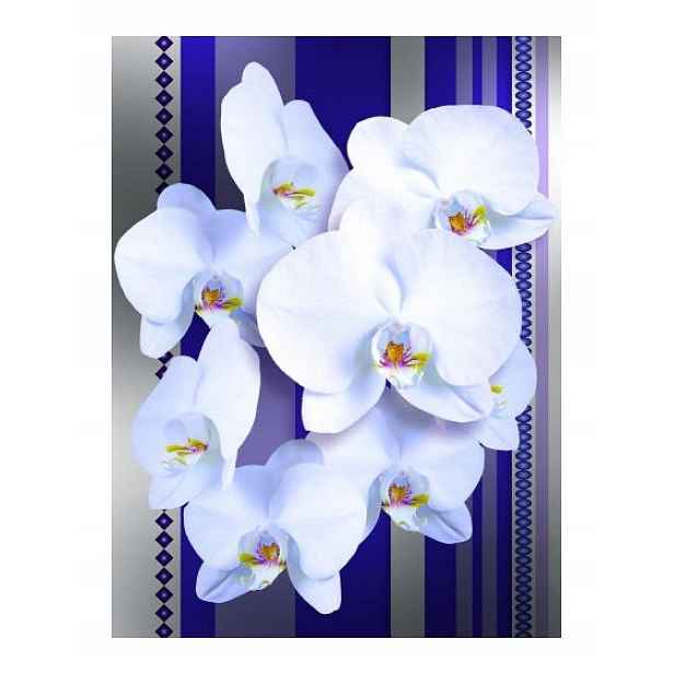 Fototapeta Orchideje bílé fialové pruhy vinylová 184x254 lepidlo