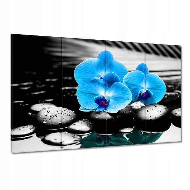 Obrazy 120x80 Tyrkysový orchidej Květina