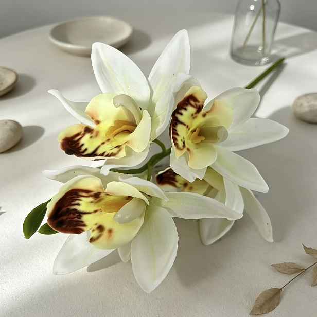 TEMU 1 ks Malá květináč slonové orchideje, květináč není součástí balení, skutečný dotek, umělá kytice pro zvýšení štěstí v domácnosti, vhodná do
