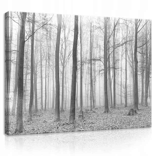 Obraz Na Plátně Plátno 80x60 Podzimní Les Šedá