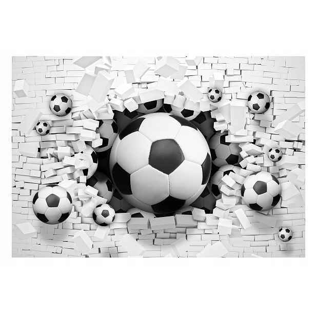 Fototapeta Fotbal 3D Mládež 312x219