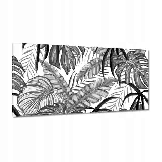 Obrazy 115x55 Monstera Zelený list