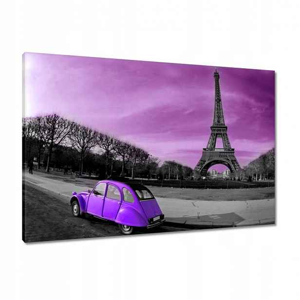 Obrazy 90x60 Fialový Citroen
