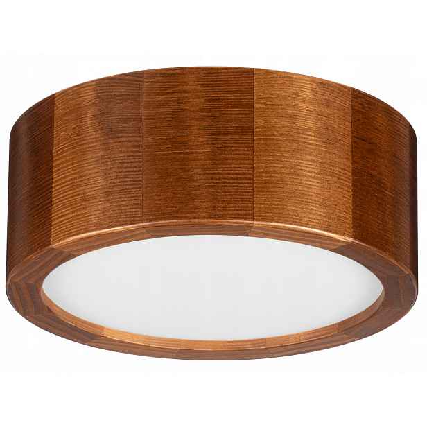 Stropní Svítidlo do koupelny Leja fi200 Rustikal Led 1xE27 do koupelny Klimatický