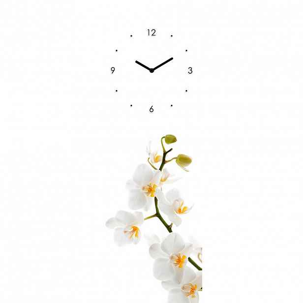 Euroart NÁSTĚNNÉ HODINY, vícebarevná, 20/60/3,1 cm - 005721052602