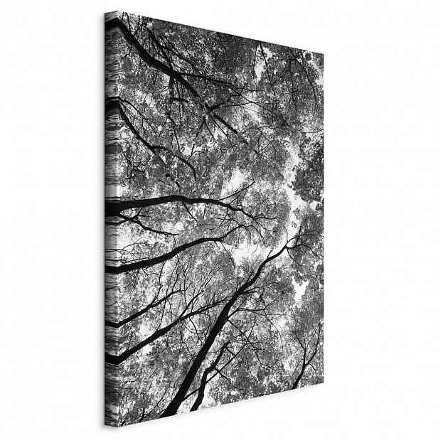 artgeist MALBA NA PLÁTNĚ, Landschaft und Natur, stromy, 40/60/1,2 cm
