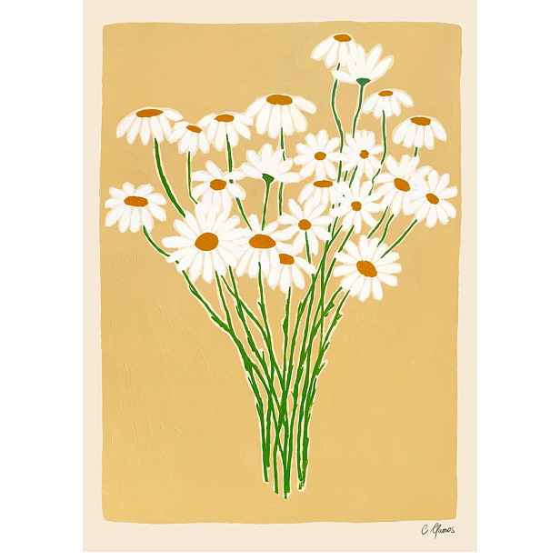 Plakát 30x40 cm Daisies – Carla Llanos – The Poster Club