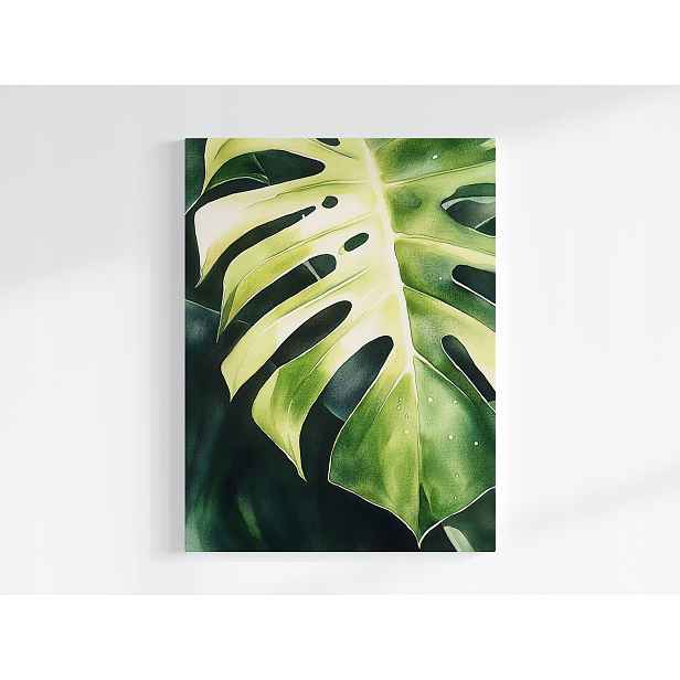 Plakát Zelená Rostlina List Monstera Filodendron 75x100
