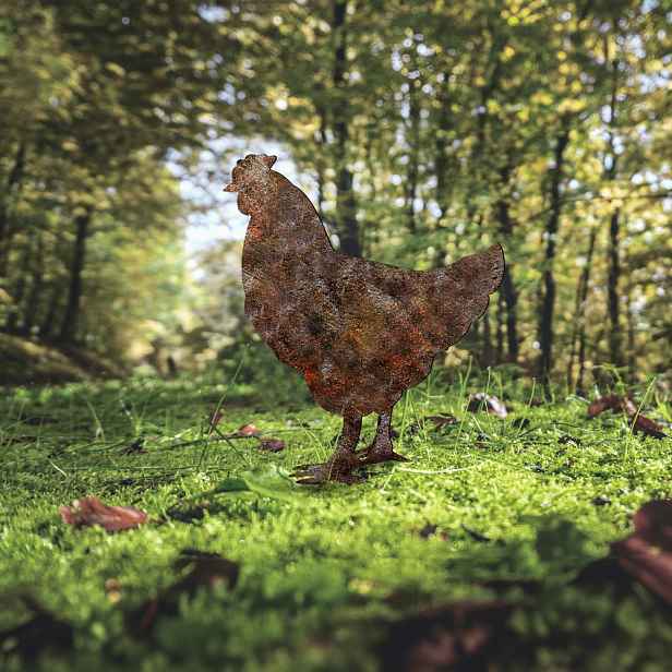 Zahradní dekorace Chicken -A 01