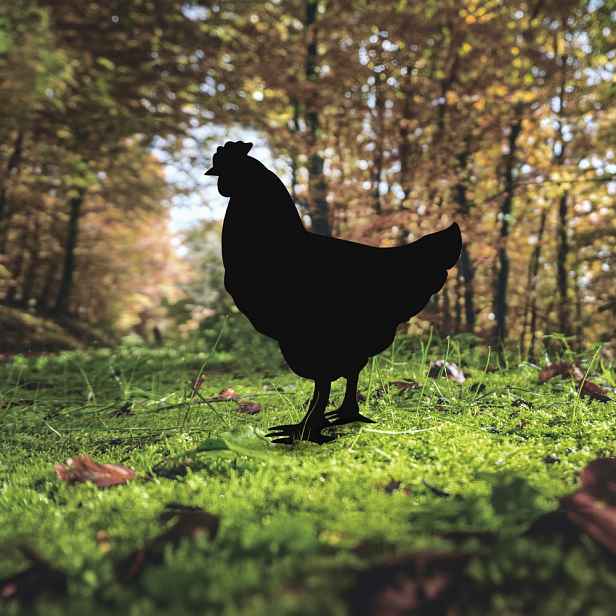 Zahradní dekorace Chicken 01