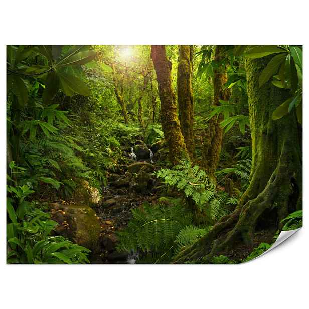 Muralo FOTOTAPETA do Obývacího Pokoje Divoká Džungle Exotické Stromy Listy 150x105