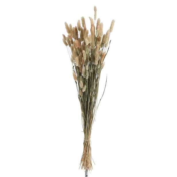 Sušená dekorativní květina Bundle Plume - 16*16*84 cm J-Line by Jolipa