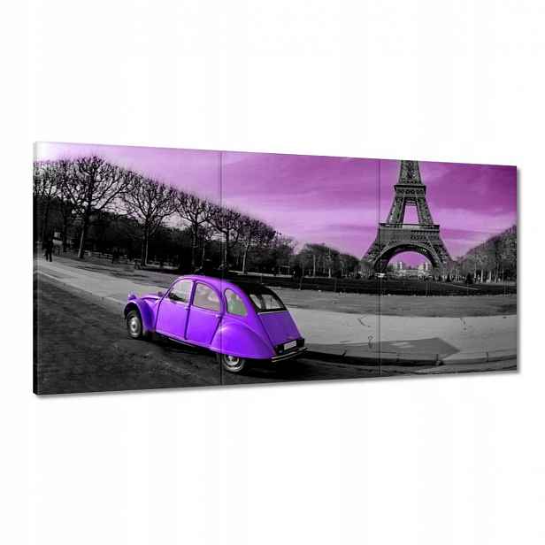 Obrazy 120x60 Fialový Citroen