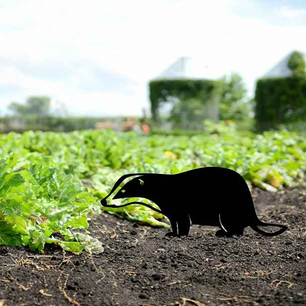 Zahradní dekorace Badger 01