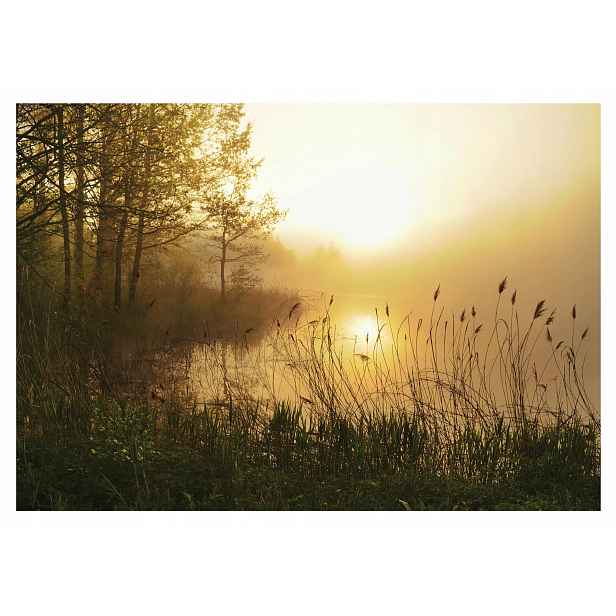 Fototapeta Krajina V Mlze Les Jezero 254x184