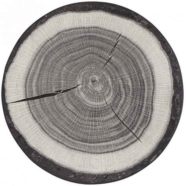 Koberec Hanse Home Tree Trunk, ⌀ 100 cm