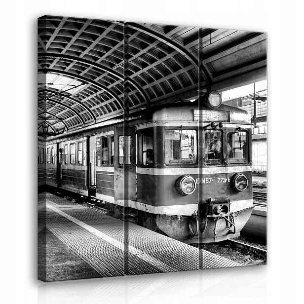 Obraz na plátně 90x100 Do stanice přijel černobílý vlak