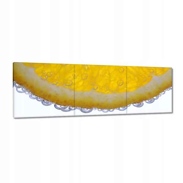 Obrazy 120x40 Citron ve vodě