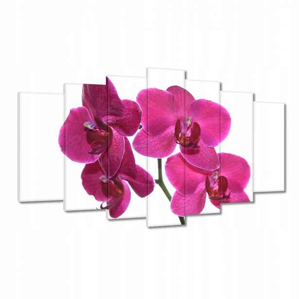 Obrazy 140x80 Fialový orchidej