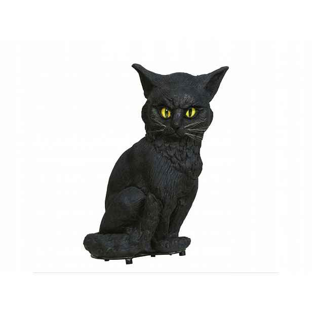 Černá Kočka Halloween Cat