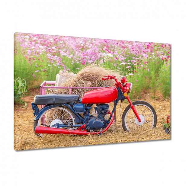 Obrazy 90x60 Červený motocykl Květiny