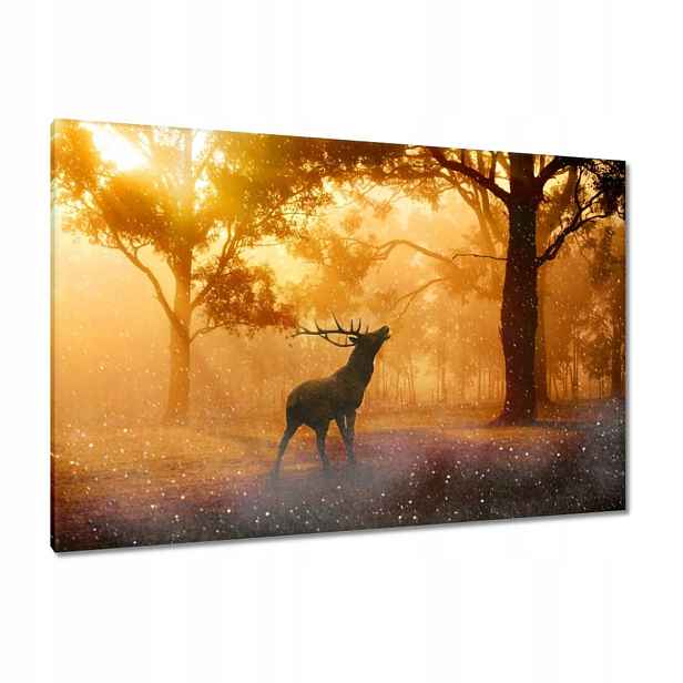 Obrazy 120x80 Jelen v lese