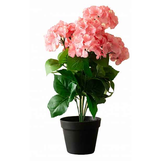Umělá Rostlina Hortenzie růžová, výška 57 cm