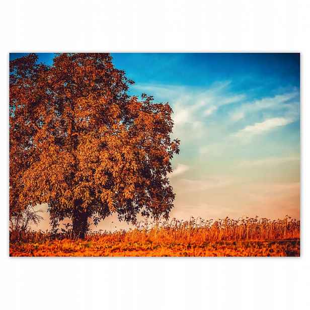 Fototapety 312x219 Podzimní barvy Krajina