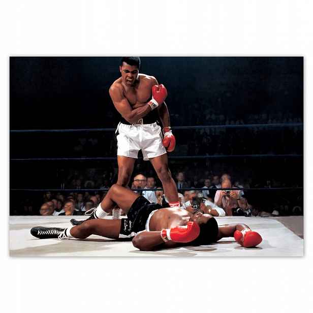 Fototapety flizelina 104x70 Muhammad Ali Boxer