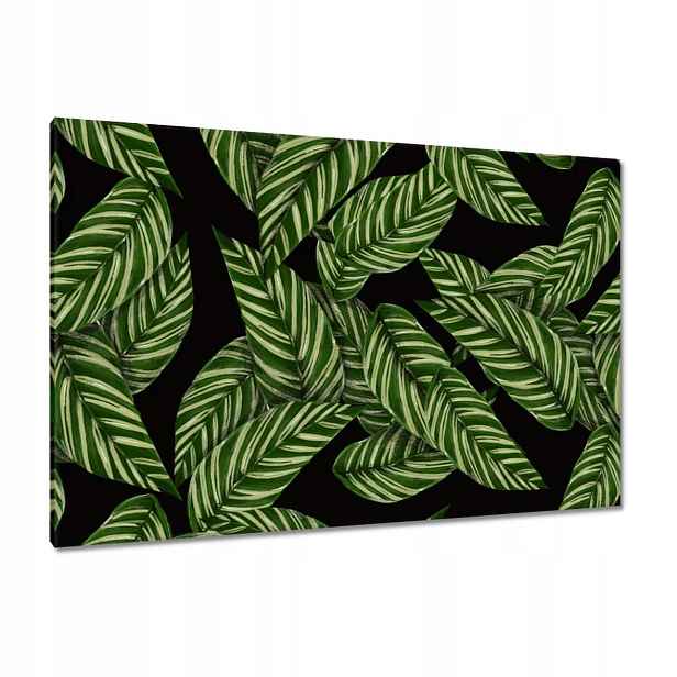 Obrazy 120x80 Zelené listy Tropiky