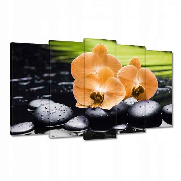 Obrazy 100x60 Oranžové orchideje