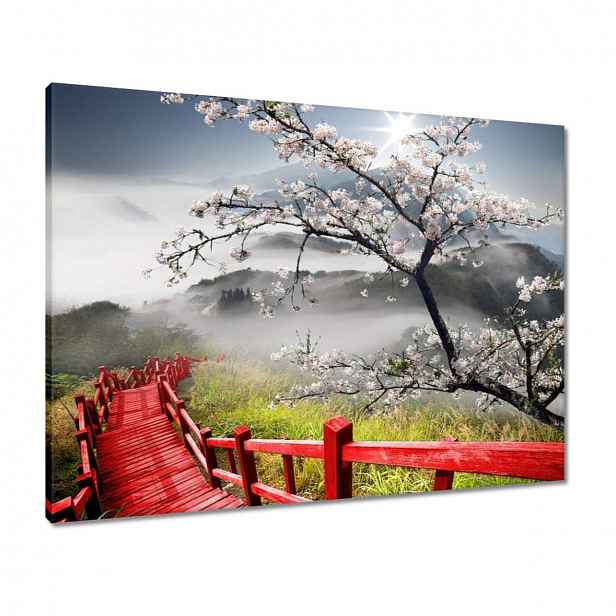 Obrazy 80x60 Červený most v Japonsku