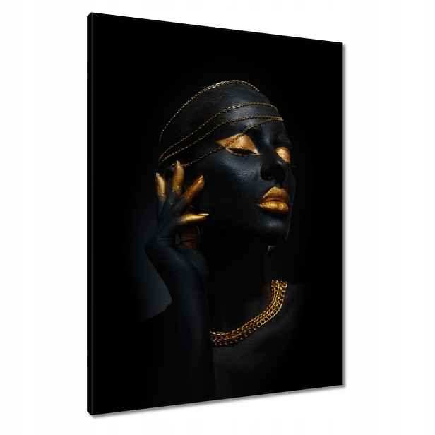 Obrazy 60x80 Zlatá aparace