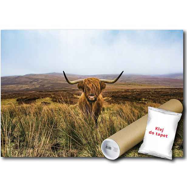 Vinylová Fototapeta Kráva Highland Hory 152x104