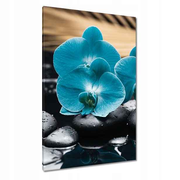 Obrazy 80x120 Tyrkysový orchidej Květina