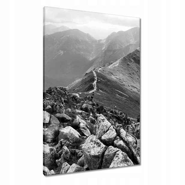Obrazy 60x90 Tatry Polské hory Pohled