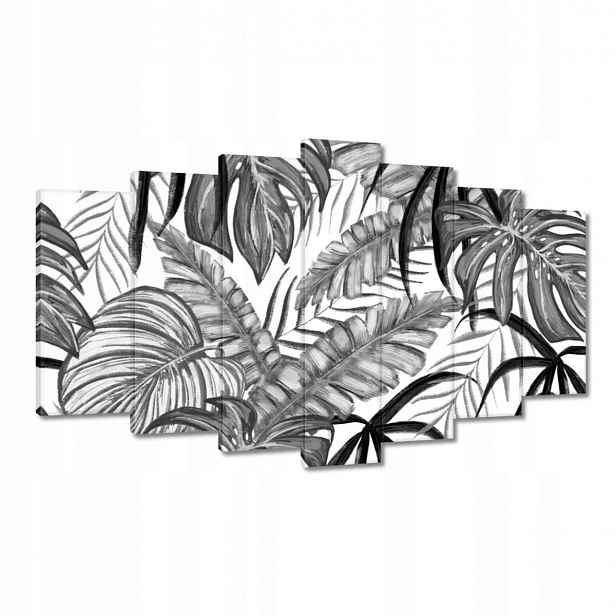 Obrazy 140x80 Monstera Zelený list