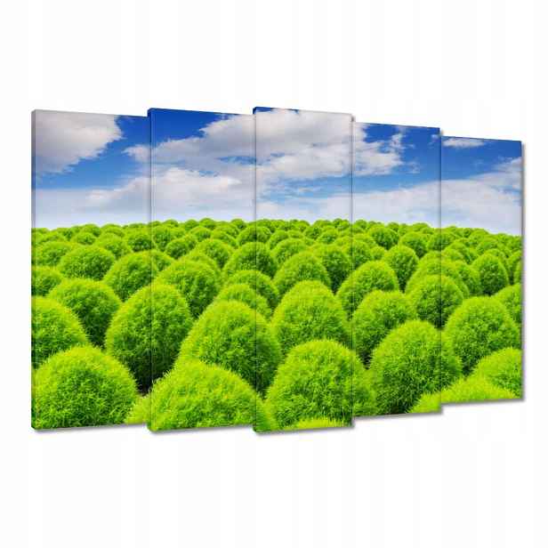 Obrazy 150x95 Zelený pohled Dolina